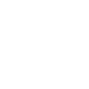 Gentle dog grooming in a home environment in Reading