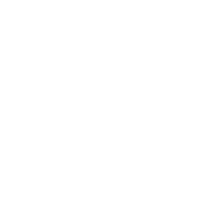 Professional dog grooming service in Reading