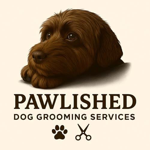 Professional dog grooming service in Reading