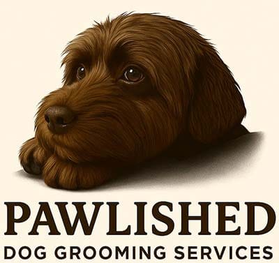 Reading-based dog groomer giving one-to-one care