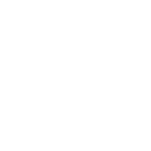 Dog grooming salon offering nail trimming and bathing in Reading